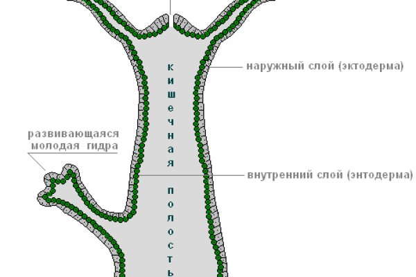 Кракен даркнет ссылка для тор