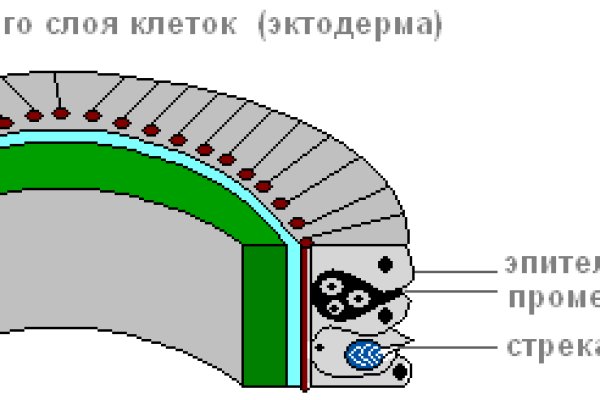 Кракен сайт ссылка k2tor online